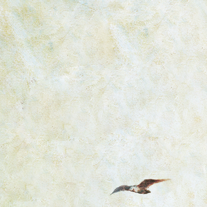 阴茎进阴道视频
