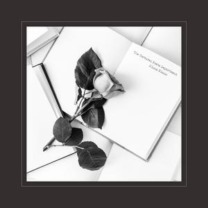 阴茎进阴道视频
